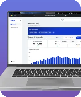 Gráficos en página principal Portal Poket